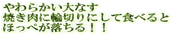 やわらかい大なす 焼き肉に輪切りにして食べると ほっぺが落ちる!!